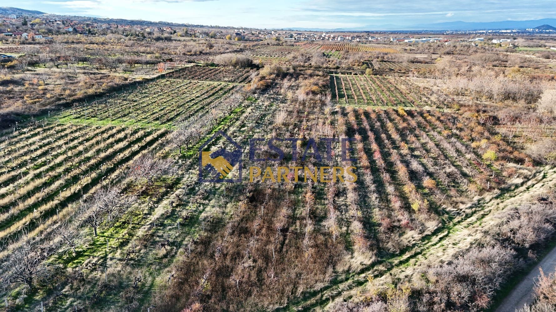 Поземлен имот 5400 кв.м в с. Брестник, м. Червенака